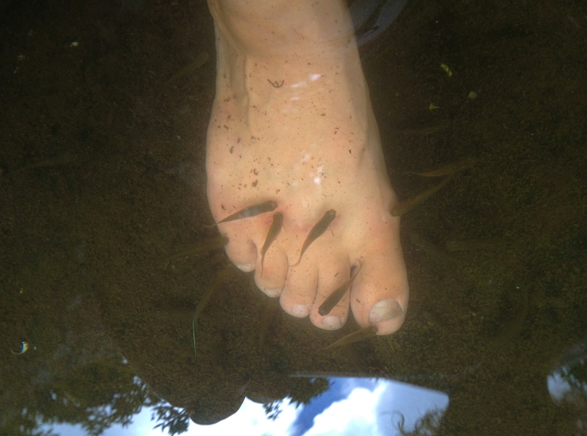 Пилинг ног рыбками в озере под верхним водопадом Sept Cascades